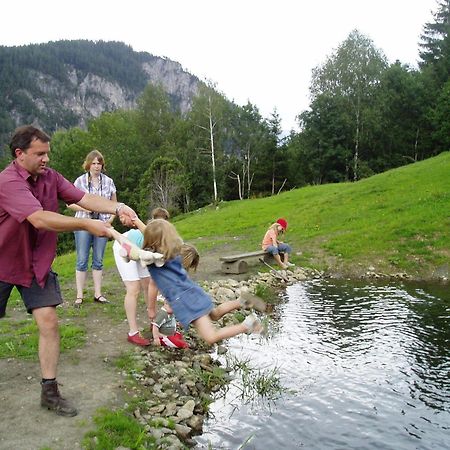 Appartamento Erblehenhof Forstau  Esterno foto