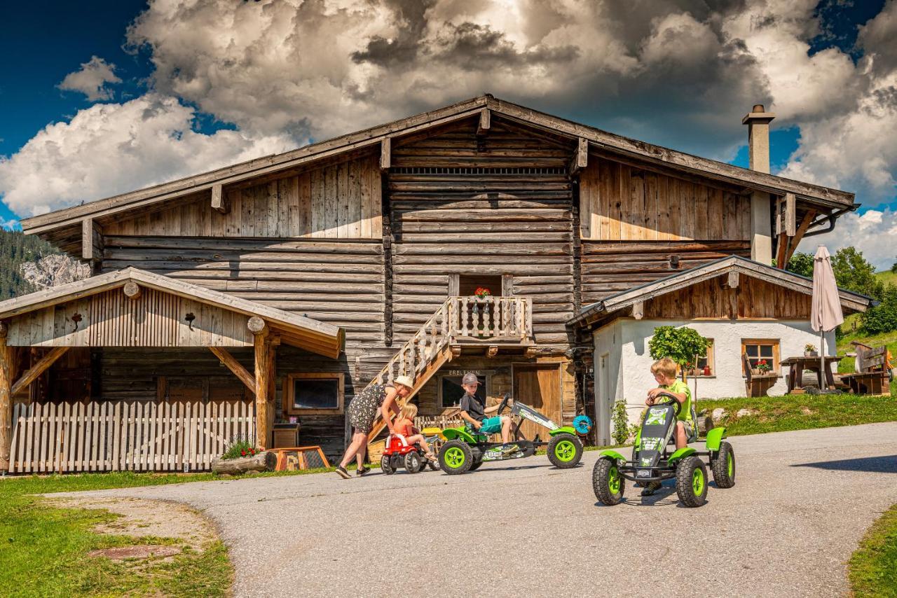 Appartamento Erblehenhof Forstau  Esterno foto