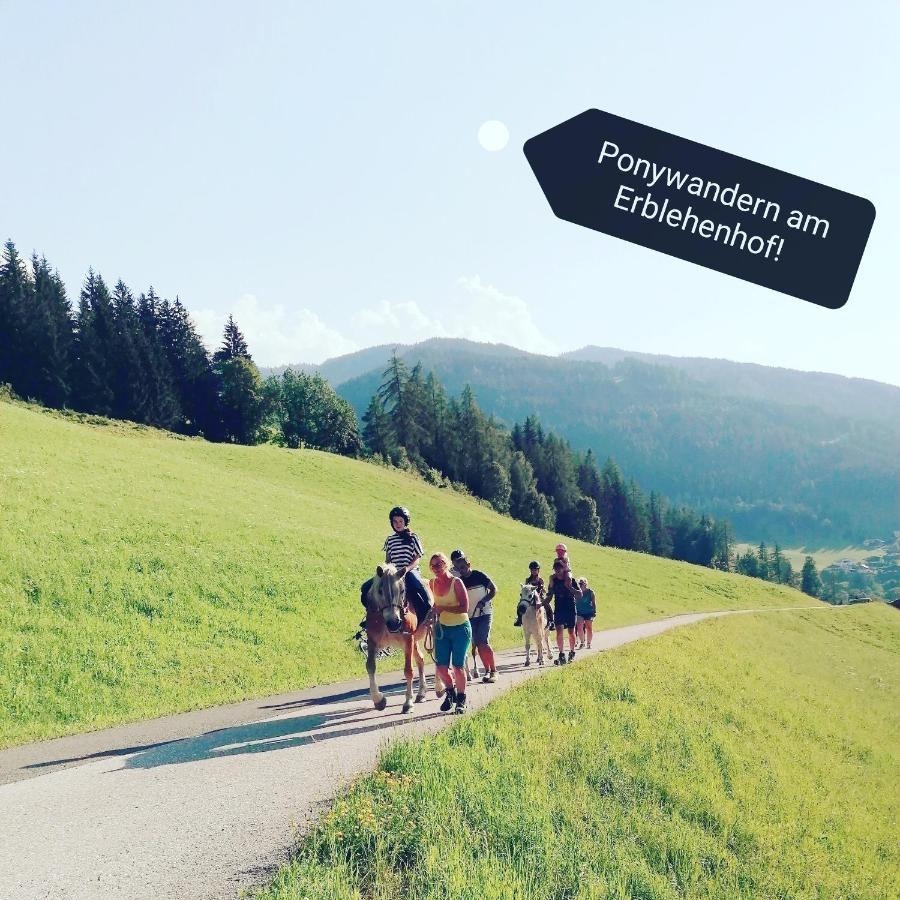 Appartamento Erblehenhof Forstau  Esterno foto